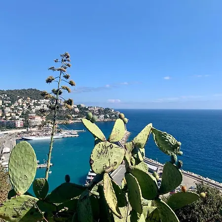 Studio At 1 Min From The Main Street Apartment *